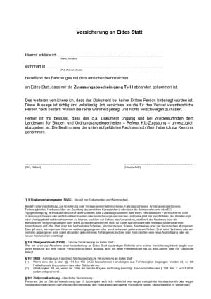 Formular zur Abgabe der eidesstattlichen Versicherung – ZB1