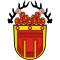 Wunschkennzeichen Tübingen