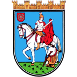 Kennzeichen BIN - Stadt Bingen