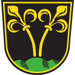 Kennzeichen TS - Stadt Traunstein