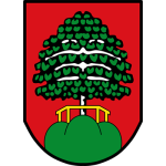 Kennzeichen MAI - Stadt Mainburg